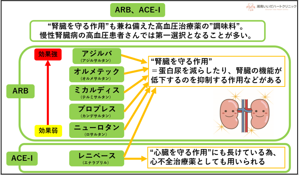 Ace Arb 使い分け: Arb Ace 一覧 : 質疑応答 内科 ACE阻害薬とARBの使い分け – YVYCG